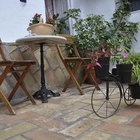 Apartamento Casas Andrea La Cueva
